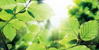 about garnier content block our commitment