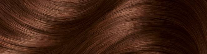 Garnier Color Naturals 3.61 Luscious Blackberry Hair Color – Sublooto